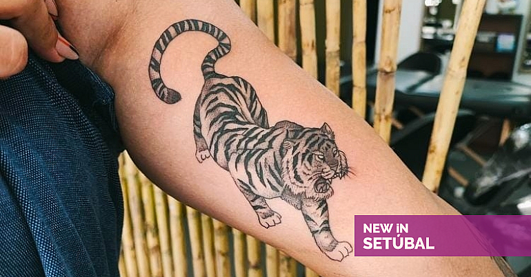 Tatuagem 2023 - fotos de obras dos melhores tatuadores