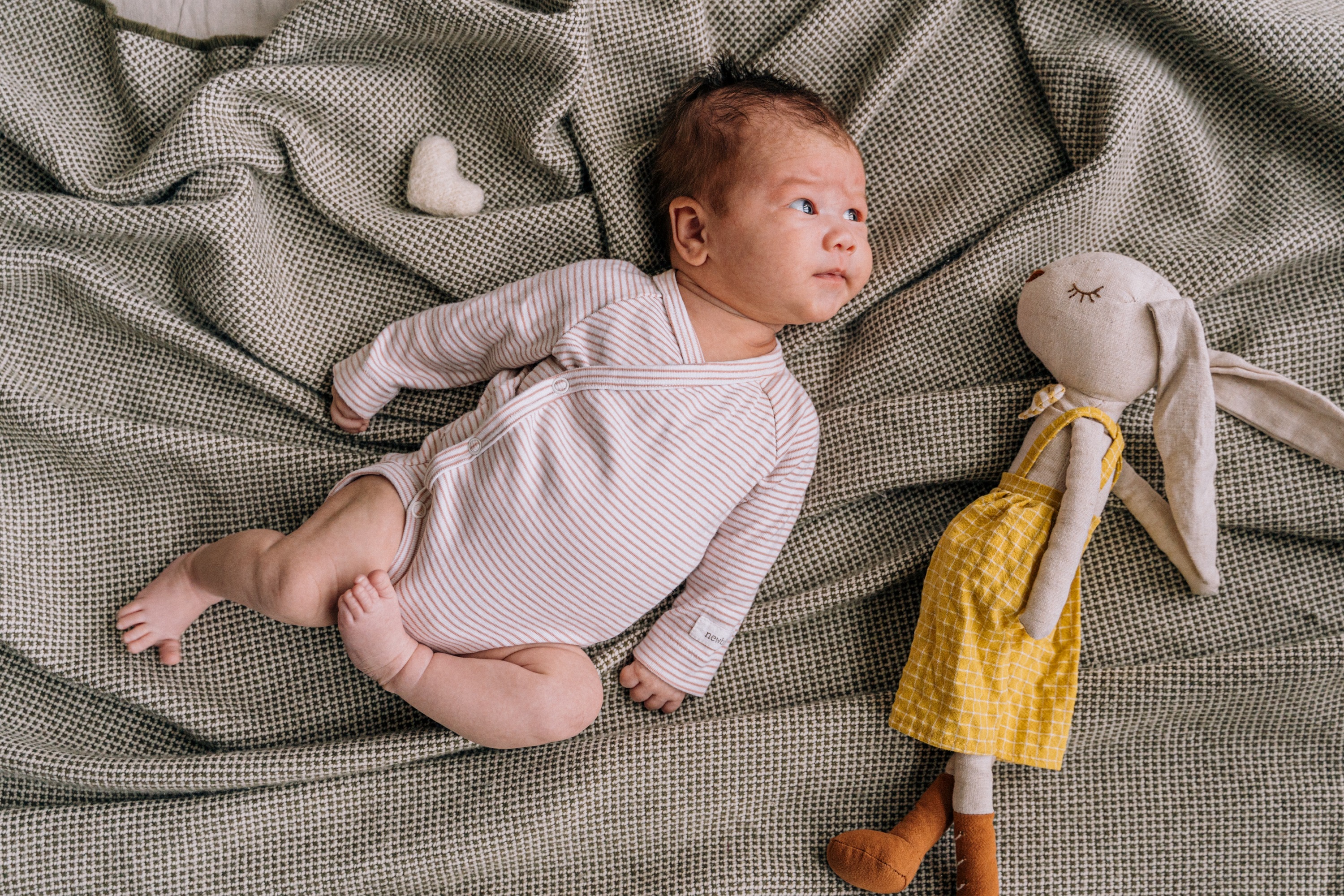 A Ervilha Congelada” a obra infantil sobre bebés que nasceram através de fertilização in vitro