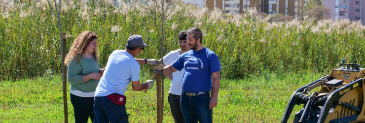 Voluntários plantam 40 árvores no Parque Urbano da Várzea