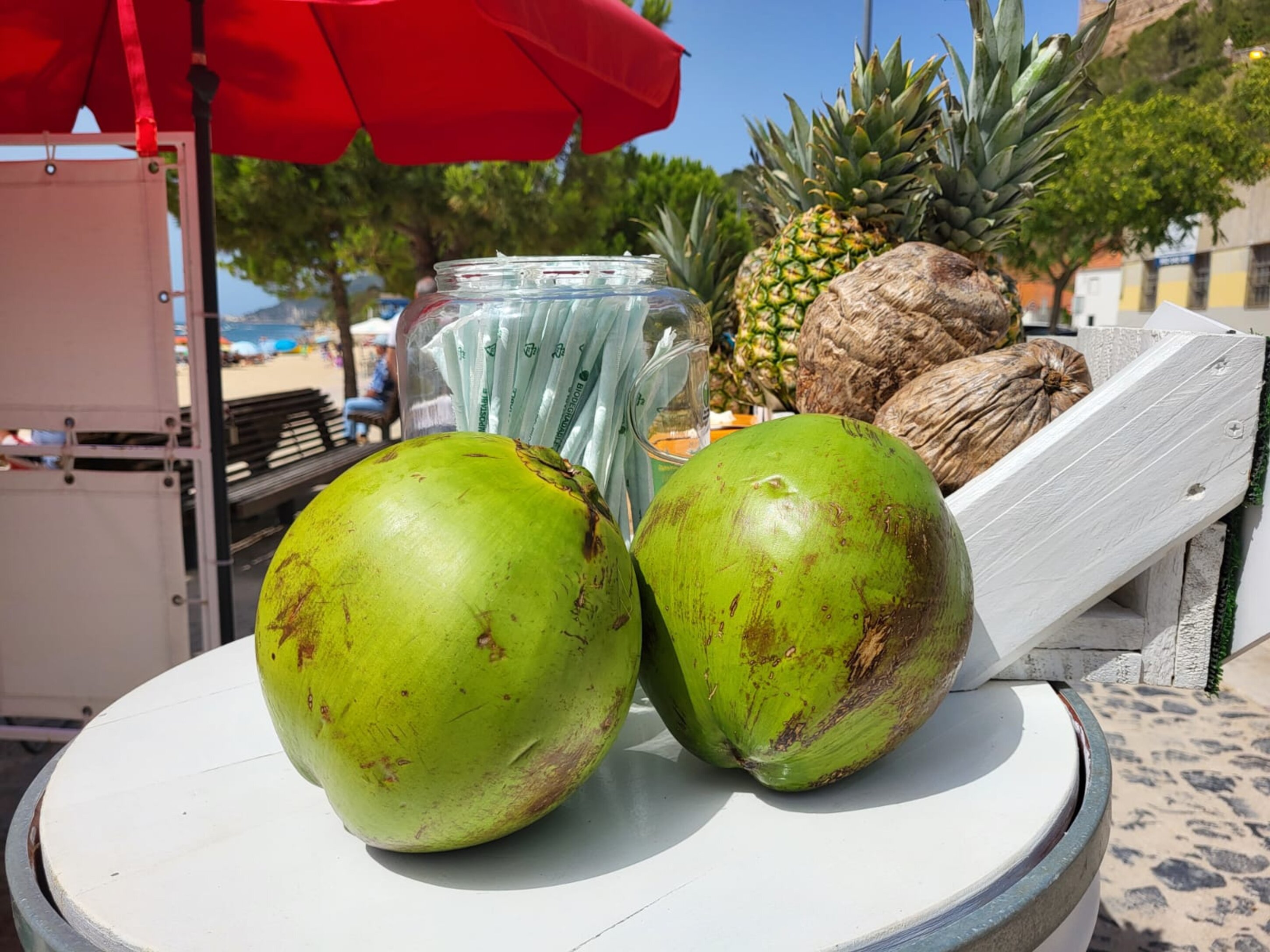 Nesta rulote da Praia da Saúde pode beber água de coco diretamente do  Brasil | New in Setúbal