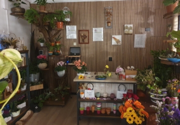 Nova florista da cidade foi fundada por um genro e uma sogra apaixonados por plantas